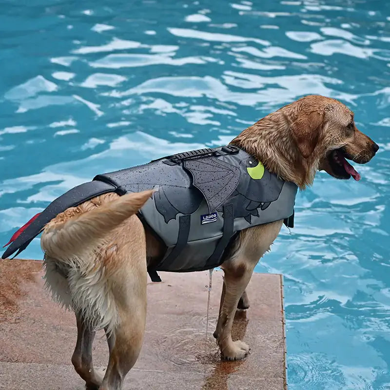 Flying Dragon Dog Swimsuit - Hello Pet Store