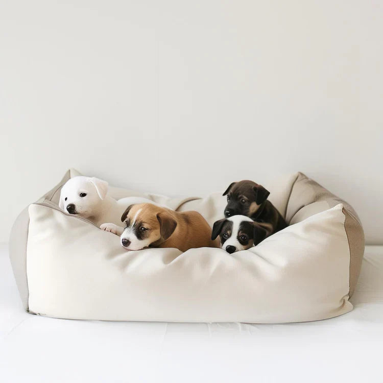 Pet Beds - Dogs & Cats